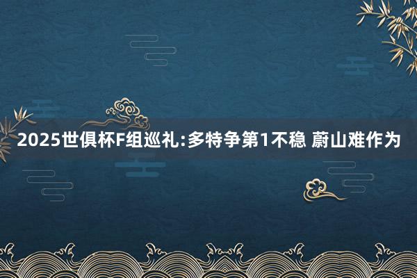 2025世俱杯F组巡礼:多特争第1不稳 蔚山难作为