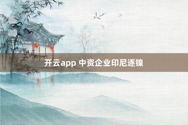 开云app 中资企业印尼逐镍