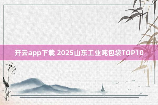 开云app下载 2025山东工业吨包袋TOP10