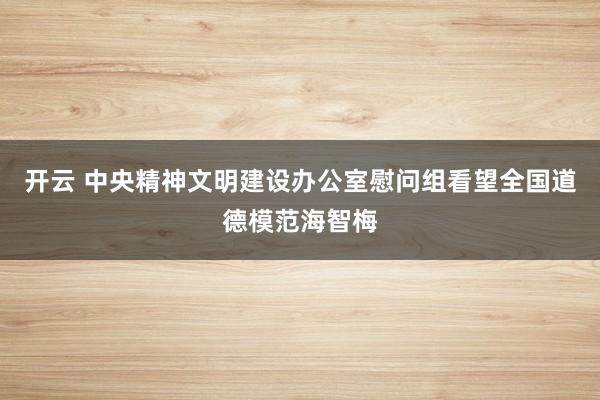 开云 中央精神文明建设办公室慰问组看望全国道德模范海智梅