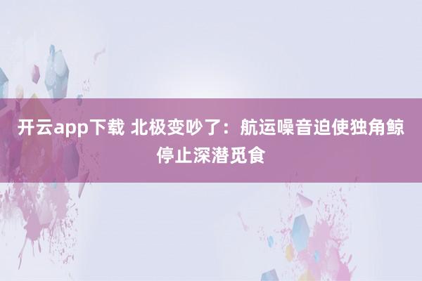 开云app下载 北极变吵了：航运噪音迫使独角鲸停止深潜觅食