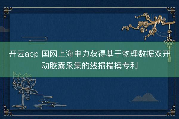 开云app 国网上海电力获得基于物理数据双开动胶囊采集的线损揣摸专利