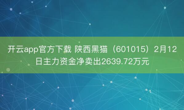开云app官方下载 陕西黑猫（601015）2月12日主力资金净卖出2639.72万元