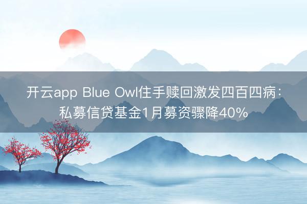 开云app Blue Owl住手赎回激发四百四病：私募信贷基金1月募资骤降40%